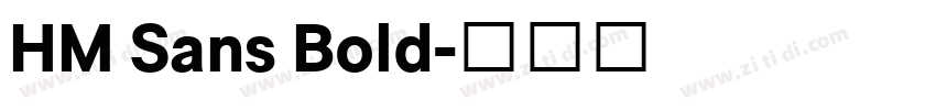 HM Sans Bold字体转换